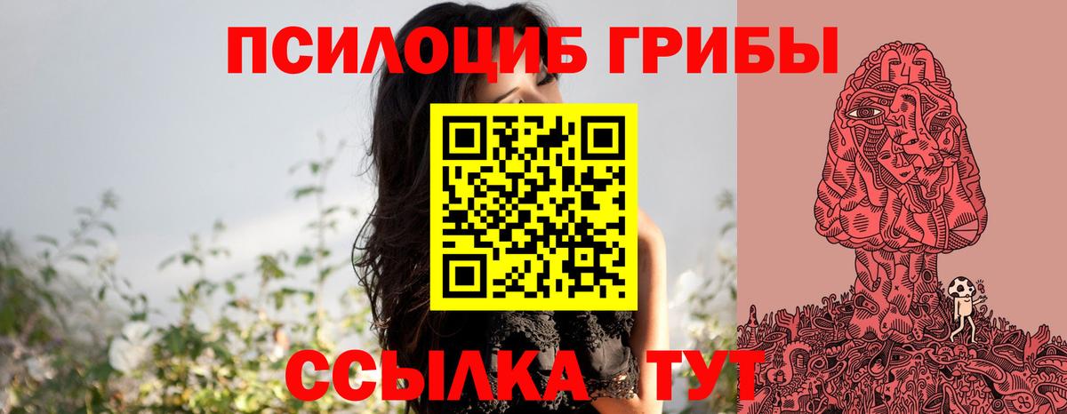 Псилоцибиновые грибы Psilocybine cubensis  Вход с VPN  Гудермес 